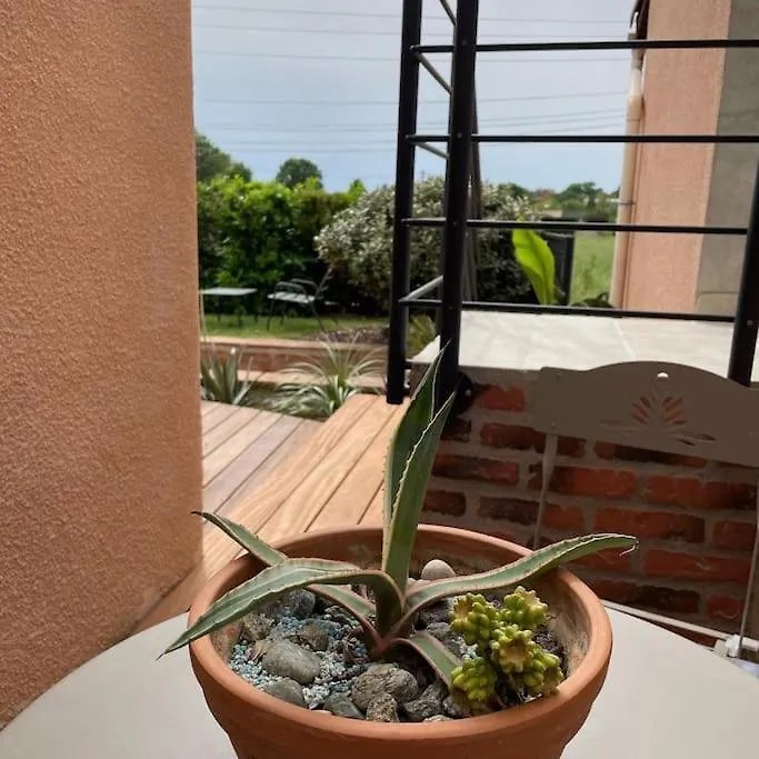 Appartement Coup De Coeur, Overger, Aux Portes De Toulouse Belberaud France
